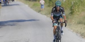 il-nuovo-ruolo-di-matteo-fabbro-alla-bora