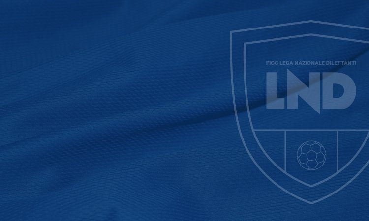 serie-d-ammissioni-e-ripescaggi-definiti-gli-organici-dei-campionati-nazionali